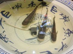 -南京金牛湖巨碗鱼头