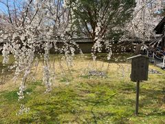 -醍醐寺