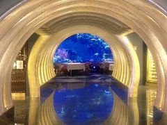 -迪拜帆船酒店海底餐厅