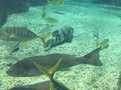 -福州罗源湾海洋世界旅游区