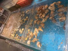 -舌尖上·霞浦滩涂海鲜·新闽菜(总店)