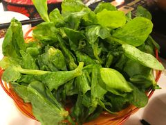 豆苗-鲜入围煮花胶鸡海鲜火锅