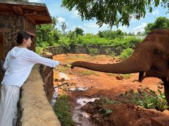 -海南热带野生动植物园