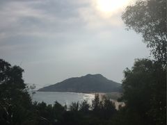 -广东惠东海龟国家级自然保护区
