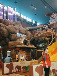 -卡通尼·Safari非洲探索乐园·生日会(金桥国际商业广场店)