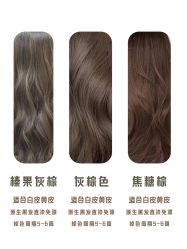 -蚂蚁造型俱乐部