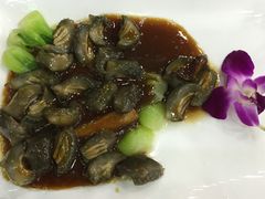 -海岛渔村大酒店(云霄路店)