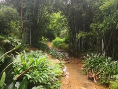 -大尖山公园