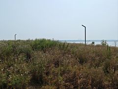 -尚贤河湿地
