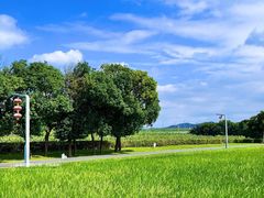 -光明小镇欢乐田园