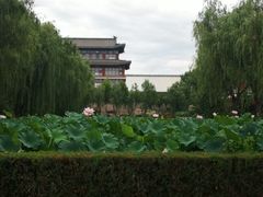 -大明幻境第一城