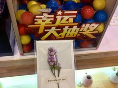 -Kpasta韩式意大利面