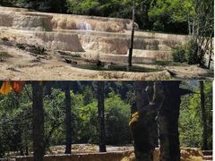 -黄龙山原始森林景区