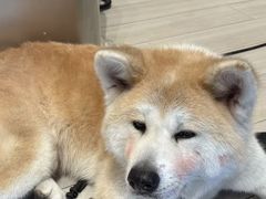 -YCHL Studios健身工作室(市二宫店)