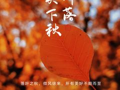 -北宫国家森林公园