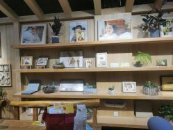 -七色田儿童摄影(静安店)