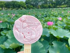 -荷塘月色湿地公园·向阳花洲