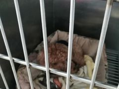 -申普宠物医院·眼科·心内科·影像科(普陀分院)