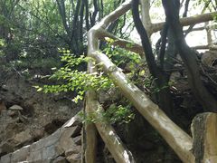 -雾灵西峰