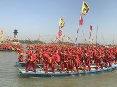 -溱湖国家湿地公园