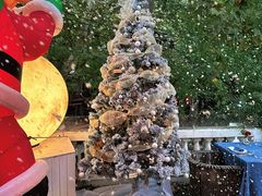 -弦月窗LUNETTE BY AMANDA(复兴路店)