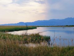-野鸭湖国家湿地公园