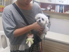 -动物缘宠物医院·骨科·猫科(西二环店)