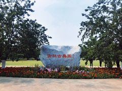 -御林古桑园