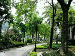 android_upload_pic-广州碧桂园凤悦凤凰城酒店