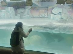 -大连圣亚海洋世界