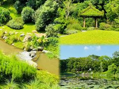 -云溪植物园