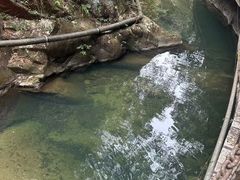 -九龙江国家森林公园