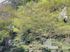 -西湖外事游船(花港观鱼码头)