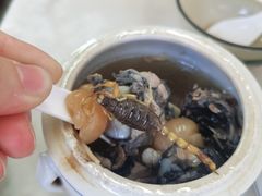 蝎子党参乌鸡汤-国英炖品店(甲子路店)
