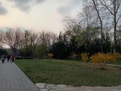 -元大都城垣遗址公园