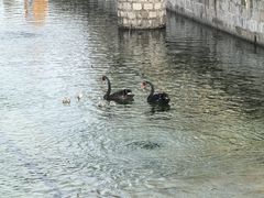 -百泉景区