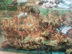 -旺顺阁海鲜广场(亚运村店)