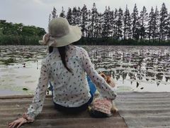 -上海长兴岛郊野公园