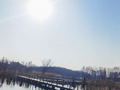 -昆山城市生态森林公园