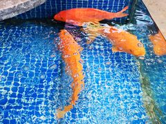 -骏莱海鲜鱼港(五角场店)