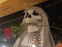 -长藤鬼校(龙翔店)