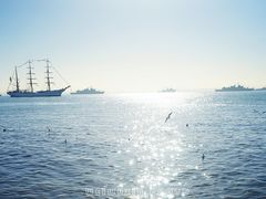 -商业广场(Praça do Comércio)