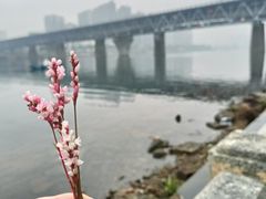 -李氏紫竹林卤粉(火车站店)