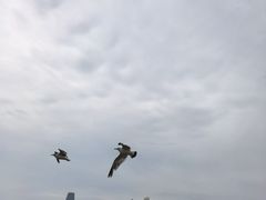 -黑石礁公园