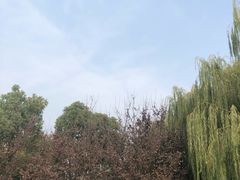 -映月湖中央公园