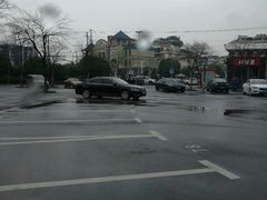 -大宁郁金香公园-停车场