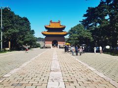 -北陵公园