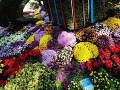 -杭州植物园