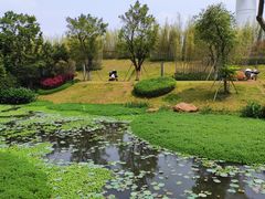 -恒大世纪梦幻城