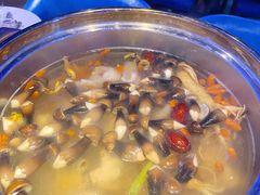 -千岛蚝高压锅生蚝·人参火锅(白云万达店)